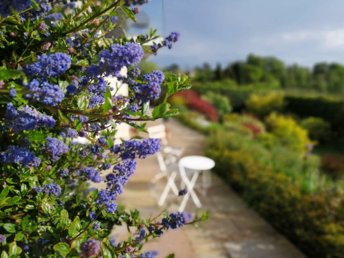 Meadow Cottage Bed & Breakfast Hawkhurst Luaran gambar