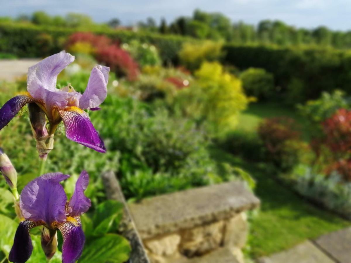 Meadow Cottage Bed & Breakfast Hawkhurst Luaran gambar